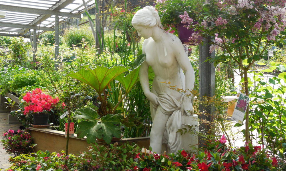 Statue et plantes